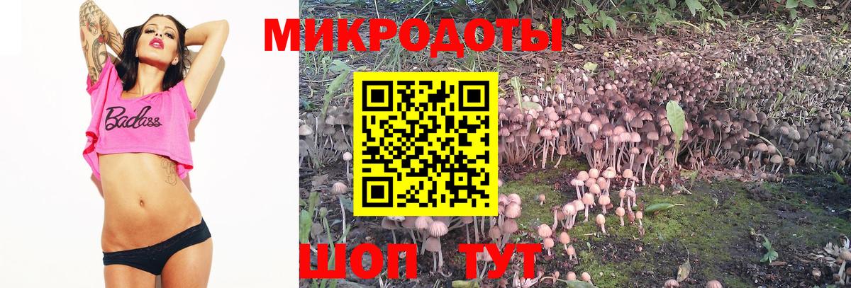 Сургут  Псилоцибиновые грибы GOLDEN TEACHER  Вход с VPN 