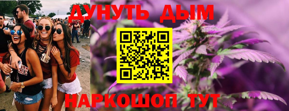 Конопля план  Вход с VPN  Конопля план  Бошки марихуана марихуана  Марихуана White Widow  Сургут 